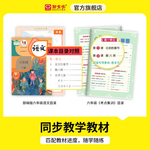 2026春四年级 部编版 语文下册《考点集训与满分备考》 商品图1