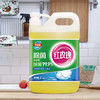 红玫瑰（Hongmeigui） 除菌洗洁精2kg洗除黄曲霉毒素和幽门螺杆菌A类食品用冷水去重油 /家庭清洁/纸品 /家庭环境清洁 /洗洁精 商品缩略图6