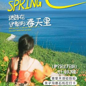 7天 【新疆·湖畔伊犁】大七座伊宁起止·果子沟大桥 赛里木湖环湖 赛湖旅拍 那拉提空中草原 吐尔根杏花 恰西森林公园 琼库什台 夏塔森林公园 六星街 S-NY03