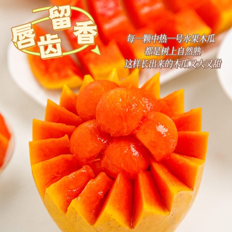 树上熟水果木瓜