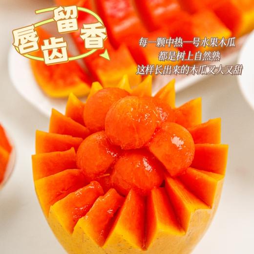 【海南三亚】水果木瓜 现摘现发，细腻香甜，入口即化 直接吃/拌酸奶/炖甜品/打奶昔等吃法多样 商品图0