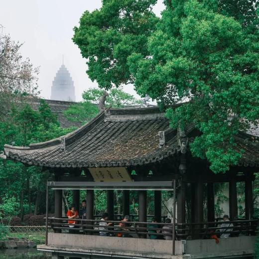 边玩边养老丨漫游嘉兴，赏禾城红韵游水乡古镇，静享江南慢养时光！ 商品图4