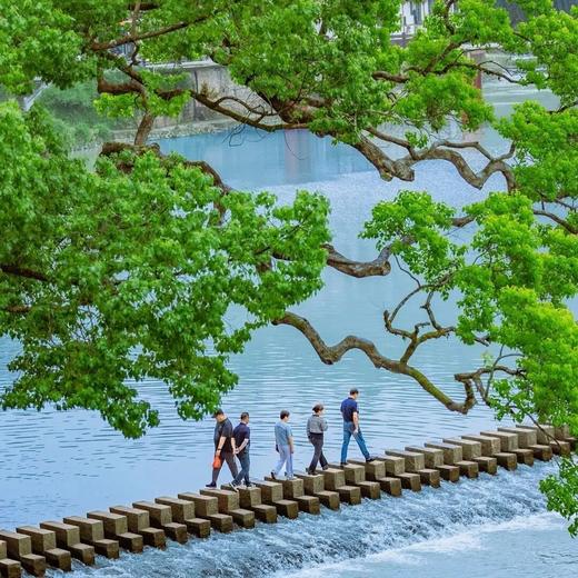 边玩边养老丨漫游温州，游山看海逛古村，在山海间享受温润的康养慢生活！ 商品图2