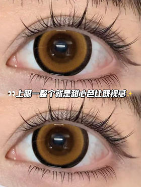 月光甜甜圈棕·日抛六片装