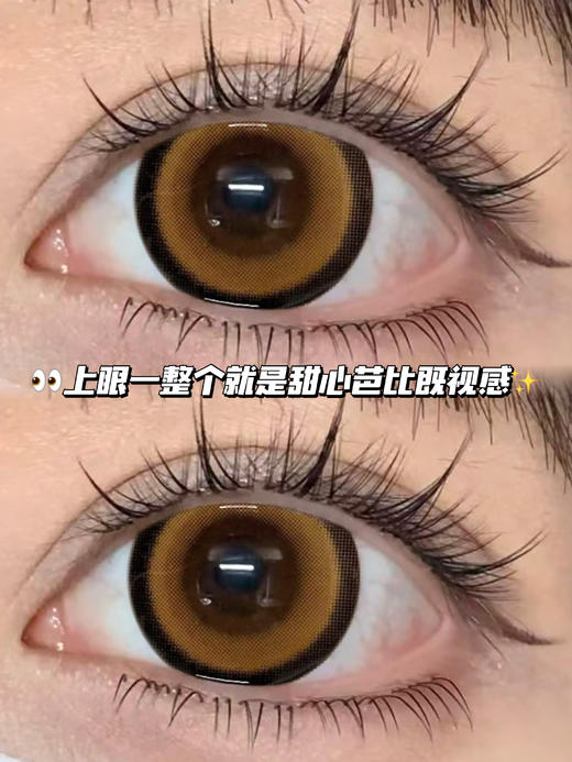 月光甜甜圈棕·日抛六片装 商品图0