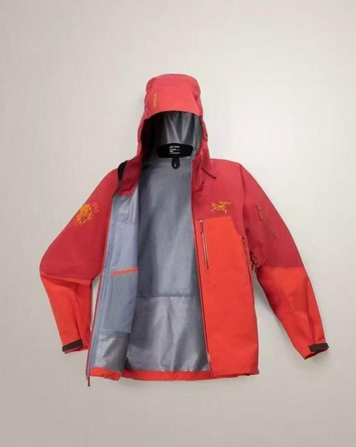 点此购买 始祖鸟男女款马年新春限定骏马刺绣图案GTX硬壳连帽防风防水滑雪衣冲锋衣 ggd 340777 商品图4