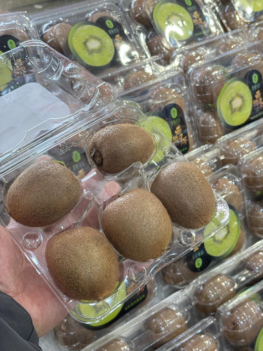 陕西徐香猕猴桃一盒中大果（5粒装） 商品图0