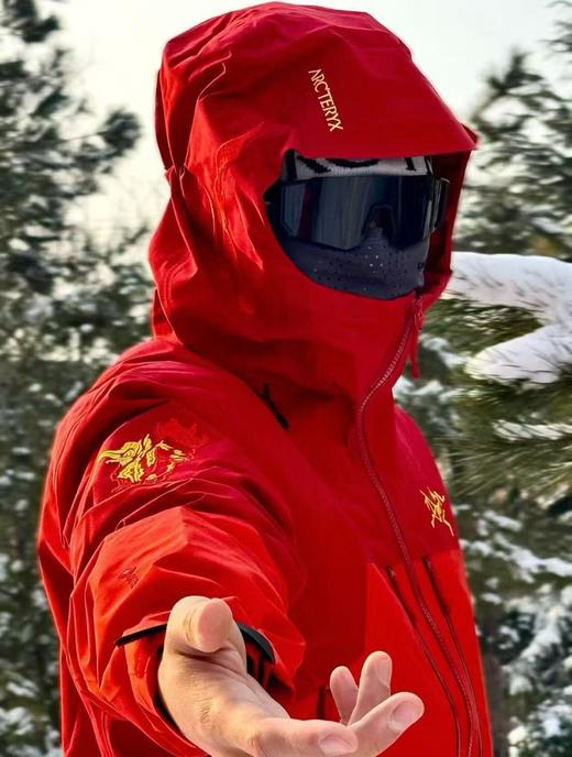 点此购买 始祖鸟男女款马年新春限定骏马刺绣图案GTX硬壳连帽防风防水滑雪衣冲锋衣 ggd 340777 商品图0