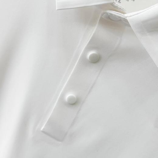 点此购买 迪桑特春秋季男士高尔夫PRO系列长袖POLO衫 37 340775 商品图12