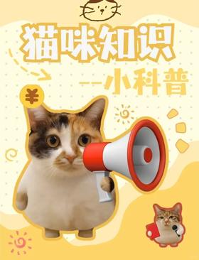 猫咪小科普时间到