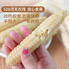 西双版纳拇指小玉米 轻食新宠  低脂代餐，饱腹感强，健康新选择！ 商品缩略图5