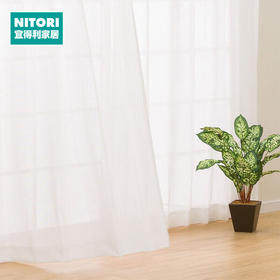 NITORI宜得利家居 日式简约卧室客厅轻奢飘窗遮阳半定制窗纱 利比亚娜