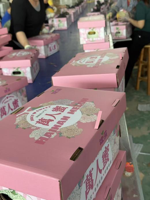 【顺丰快递】海南牛三蜜瓜 网纹瓜 2粒礼盒装 新鲜当季水果  - ATX 商品图1