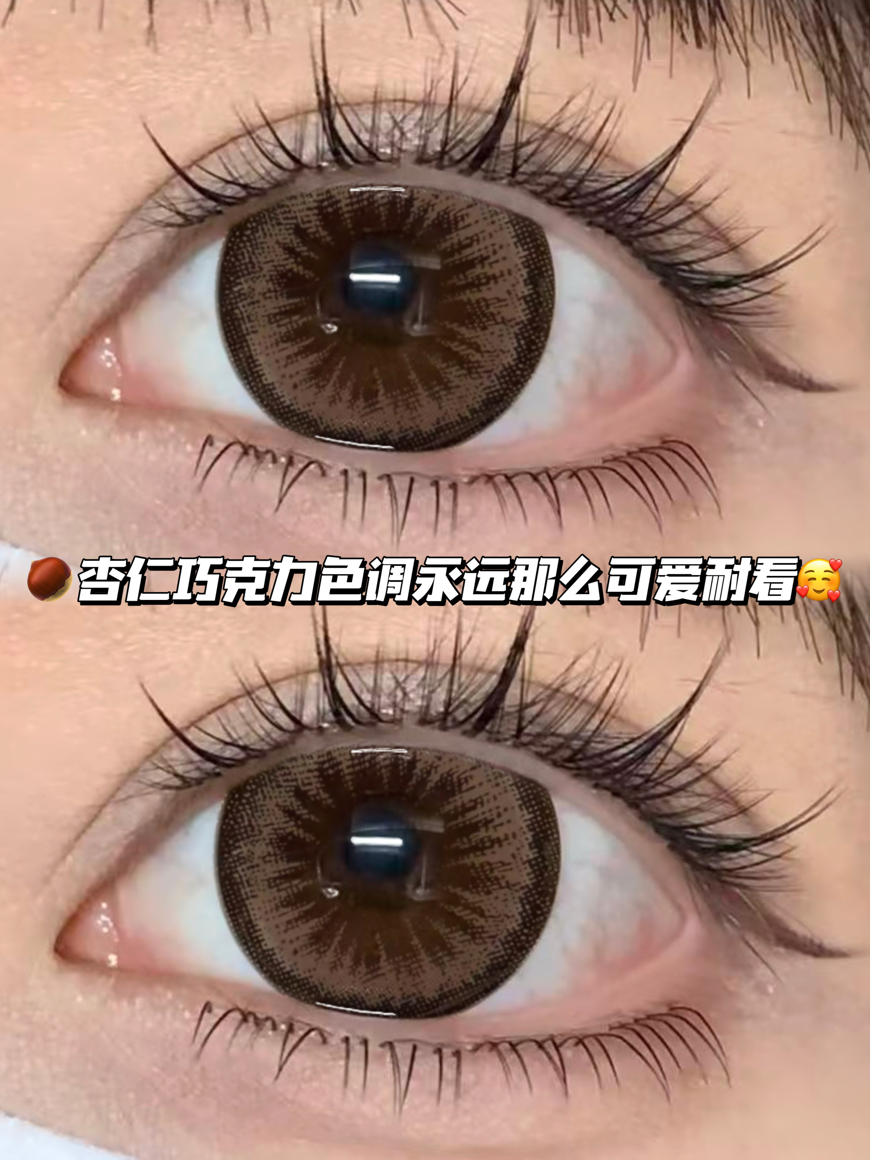 杏仁甜甜圈·日抛六片装