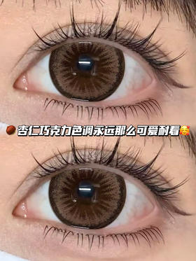 杏仁甜甜圈·日抛六片装