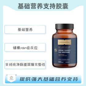 海外 IMMUNE CHARGE+® ZINC IONOPHORE  基础营养支持胶囊