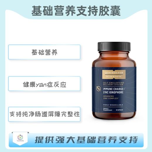 海外 IMMUNE CHARGE+® ZINC IONOPHORE  基础营养支持胶囊 商品图0