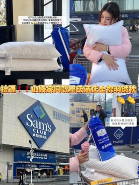 山姆正品尾货！ 山姆家同款星级酒店全棉羽丝绒枕   尺寸48*74cm