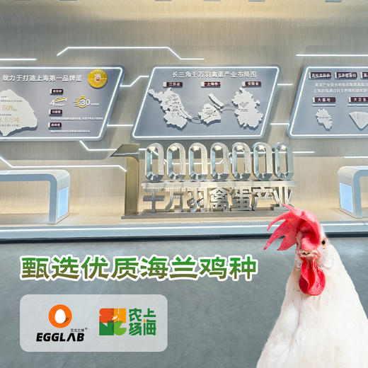艾戈兰博可生食无抗白壳蛋30枚 商品图5