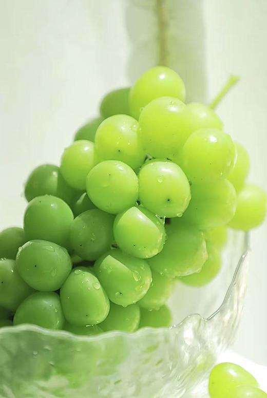 高糖大粒晴王葡萄   【送货路上会掉粒 介意勿拍】 商品图0