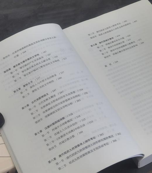 【绝版】《汉唐西域文学研究》，16开平装，高人雄编著，新疆人民出版社2017年一版一印，530面，定价88，售价58元。 商品图4