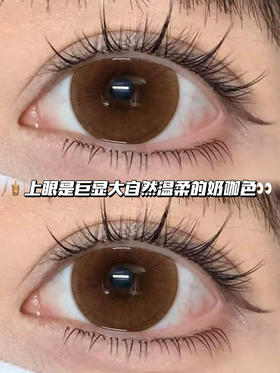 榛果奶油棕·日抛六片装