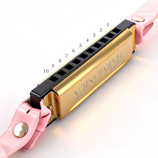 谜姬 口琴口塞SM羞耻调情 商品图2