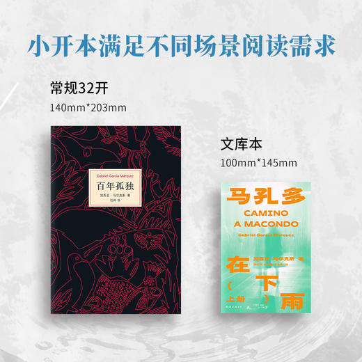 马孔多在下雨：全两册 商品图3