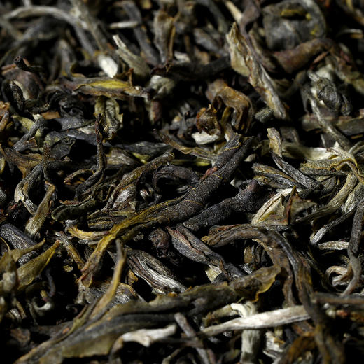 【26年春茶】小罐茶·口粮系列·早春绿茶日常装80g【预售】 商品图9