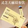 【便携小支装❗服用便捷更省心】灵芝天麻双参饮饮料党参西洋参口服液10ml。rg 商品缩略图0