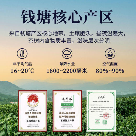 【新茶预售】艺福堂骑火龙井茶125g/包 商品图2