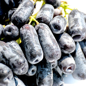 【会员41.5/斤】澳大利亚进口蓝宝石金手指无籽黑提