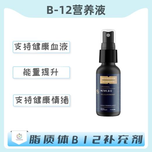 海外 METHYL B-12 B-12营养液 商品图0