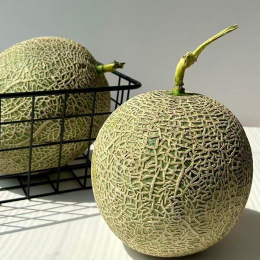 心选丨冰淇淋网纹瓜#收到即食脆甜，放软后口感绵甜多汁 水果 商品图5