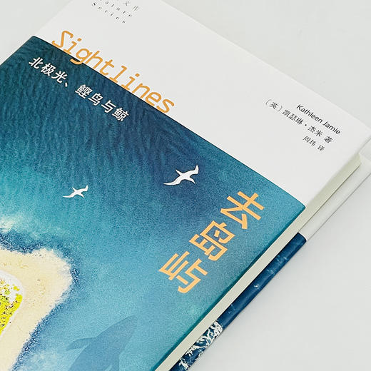 去岛屿：北极光、鲣鸟与鲸(自然文库) 商品图5