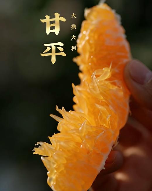 周四取货：【金狐狸甘平蜜橘】一箱毛重7斤左右，橘中爱马仕，皮薄肉厚，入口化渣，水嫩多汁。， 商品图2
