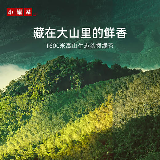 【26年春茶】小罐茶·口粮系列·早春绿茶日常装80g【预售】 商品图1