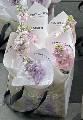 单支紫罗兰（默认颜色随机、下单备注颜色）