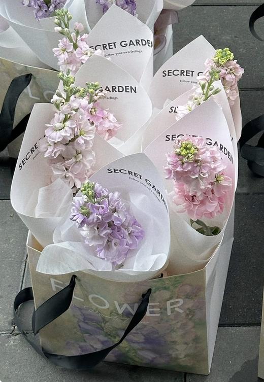 单支紫罗兰（默认颜色随机、下单备注颜色） 商品图0