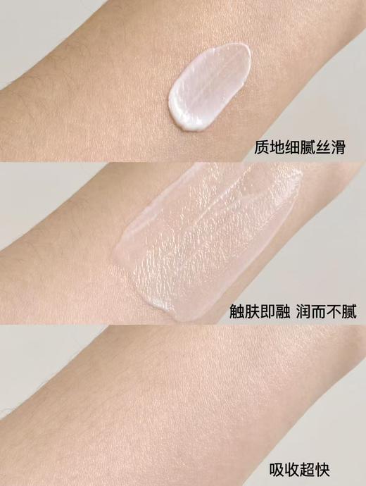 直发 抗老面霜细糖【菁纯面霜全新升级 轻盈版面霜15ML】 商品图8