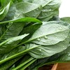 【福利官】放心嫩嫩菜(菠菜) 200g/袋 商品缩略图1