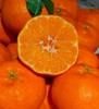 周四取货：【金狐狸甘平蜜橘】一箱毛重7斤左右，橘中爱马仕，皮薄肉厚，入口化渣，水嫩多汁。， 商品缩略图0