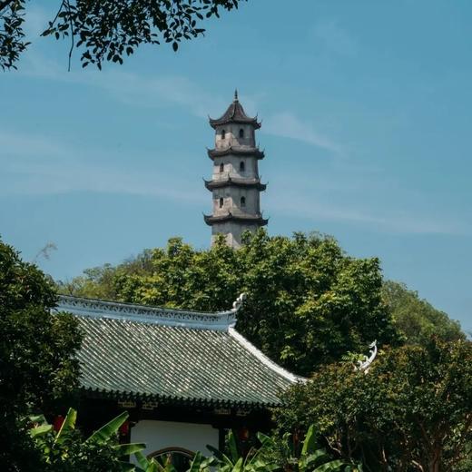 边玩边养老丨漫游温州，游山看海逛古村，在山海间享受温润的康养慢生活！ 商品图5