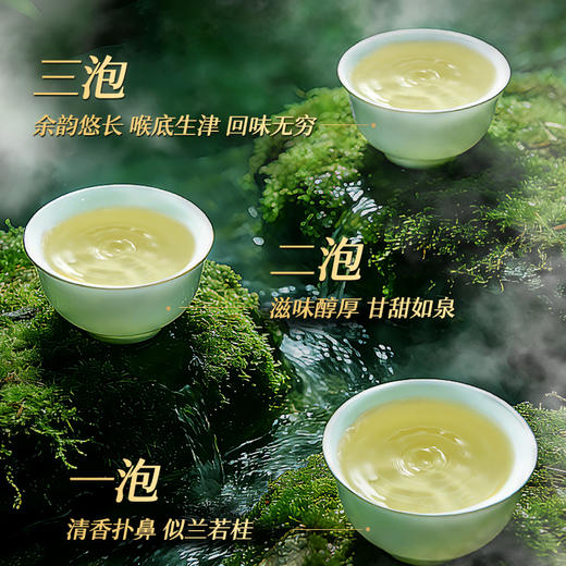 【新茶预售】艺福堂2026年森林龙井茶（雨林认证）125g/盒 商品图1