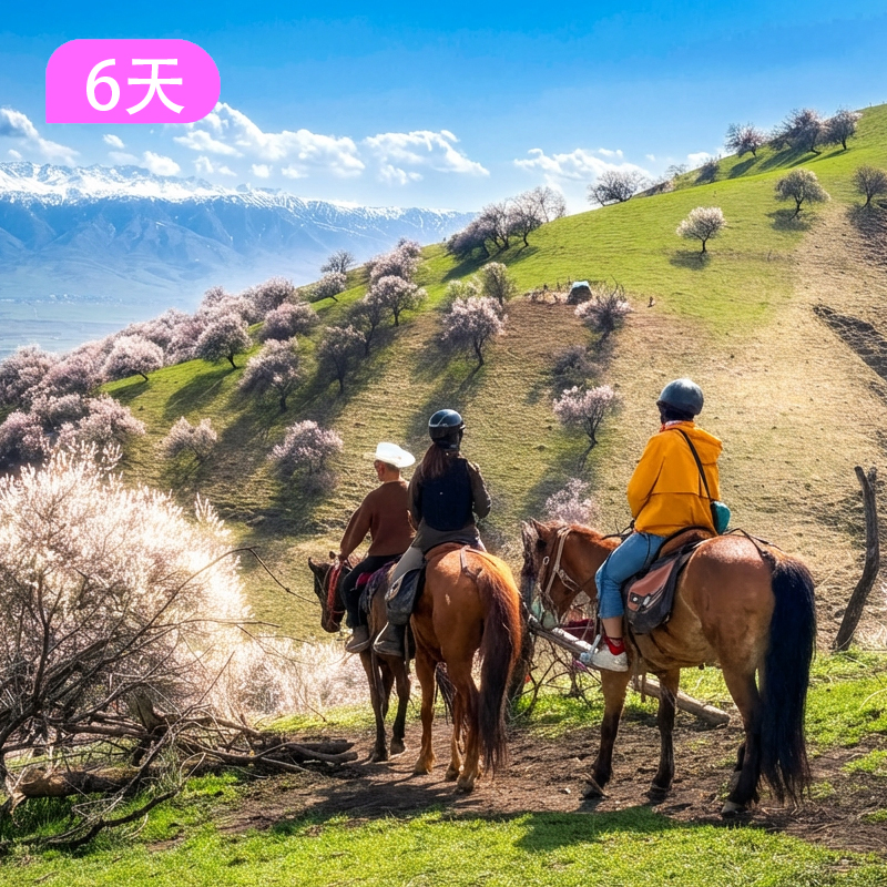 马背·骑跃世界｜库尔德宁+吐尔根杏花沟策马寻花6日