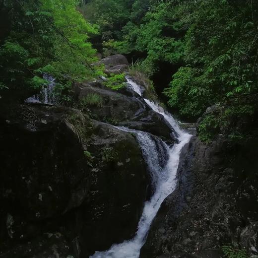 边玩边养老丨漫游温州，游山看海逛古村，在山海间享受温润的康养慢生活！ 商品图3