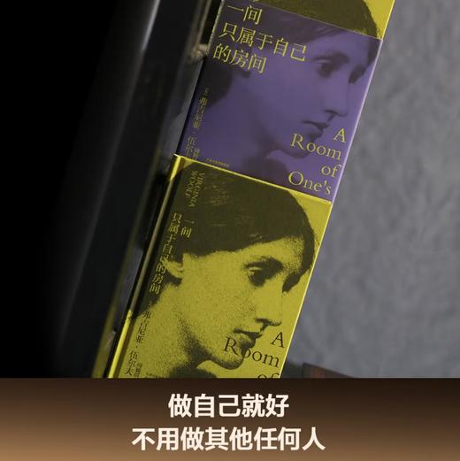 一间只属于自己的房间（热播剧《我的阿勒泰》经典台词，女性主义奠基作品，李银河、杨澜推荐）伍尔夫代表作 小说 商品图2
