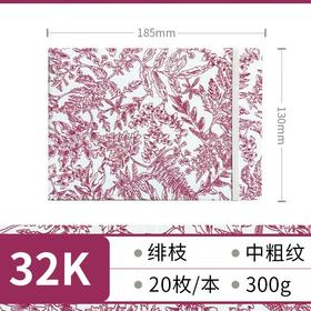 飞乐鸟 木浆布艺水彩写生本 中粗纹 绯枝185*130mm 20张/本