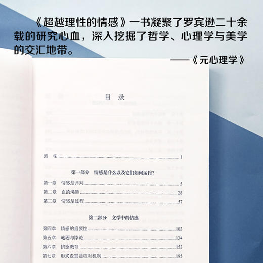 超越理性的情感：艺术如何以情动人 商品图5