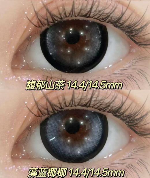 【新品大直径日抛】SweetCircle-馥郁山茶/夹心蜜糖/偷心玫瑰/藻蓝椰椰-总直径14.5mm【日抛 0-1000度 不含525/575】 商品图10
